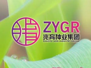 【簽約】河北兆育種業(yè)集團有限公司，簽署網(wǎng)站改版升級合同