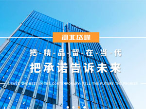 河北岱嶸建設有限公司，與我公司簽署網(wǎng)站建設合同