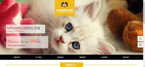 企業(yè)網站建設網站性價比