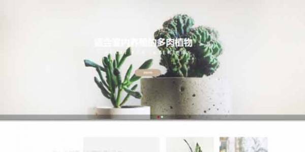 如何開發(fā)公司網(wǎng)站制作Web 前端？