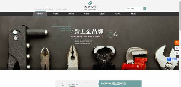 企業(yè)網(wǎng)站建設(shè)，具有LaTeX排版和數(shù)學(xué)可視化功能的網(wǎng)站建設(shè)