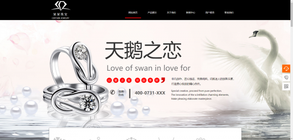 企業(yè)網(wǎng)站建設(shè)，視頻網(wǎng)站運(yùn)營模式類別