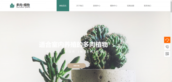 公司網(wǎng)站制作，網(wǎng)站攝影圖片