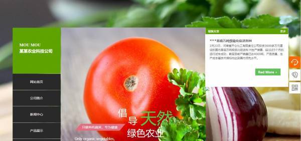 公司網(wǎng)站制作，2025年不可錯(cuò)過的設(shè)計(jì)風(fēng)格